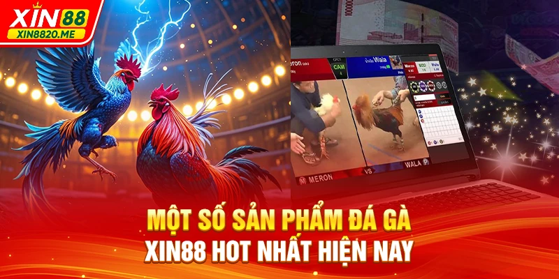 Một số sản phẩm Đá Gà XIN88 hot nhất hiện nay