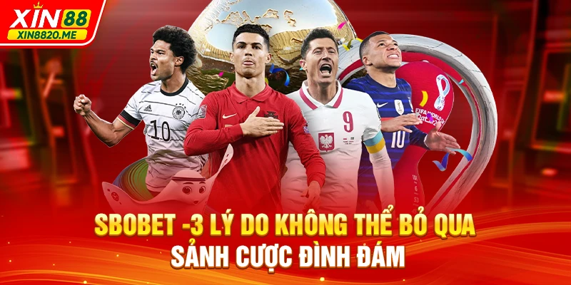 SBOBET - 3 Lý Do Không Thể Bỏ Qua Sảnh Cược Đình Đám